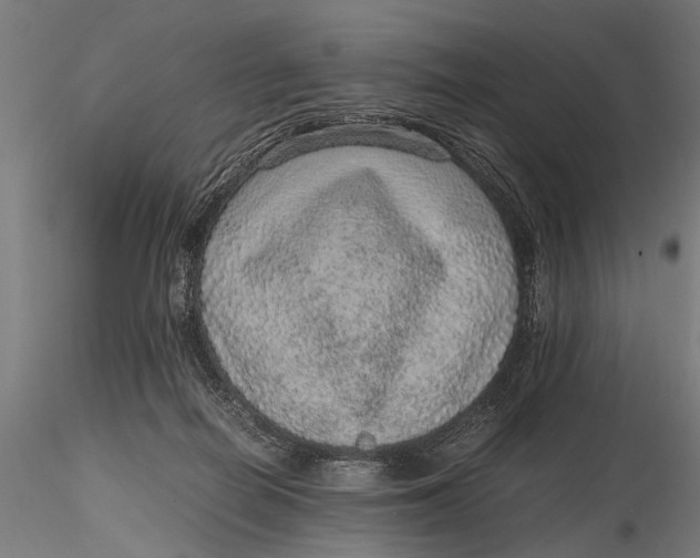 X0000116100266200912141003