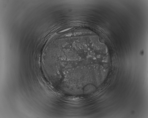 X0000116100267200912141003