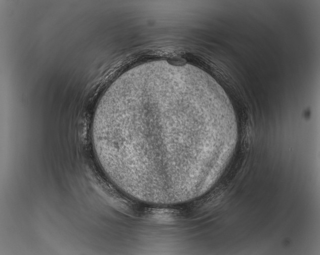 X0000116100268200912141003