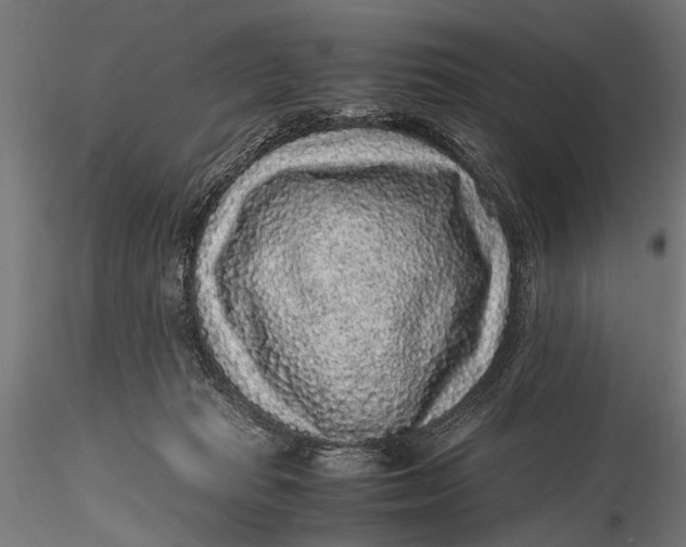 X0000116100269200912141003