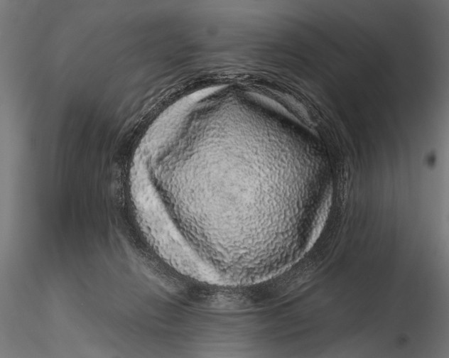 X0000116100270200912141003