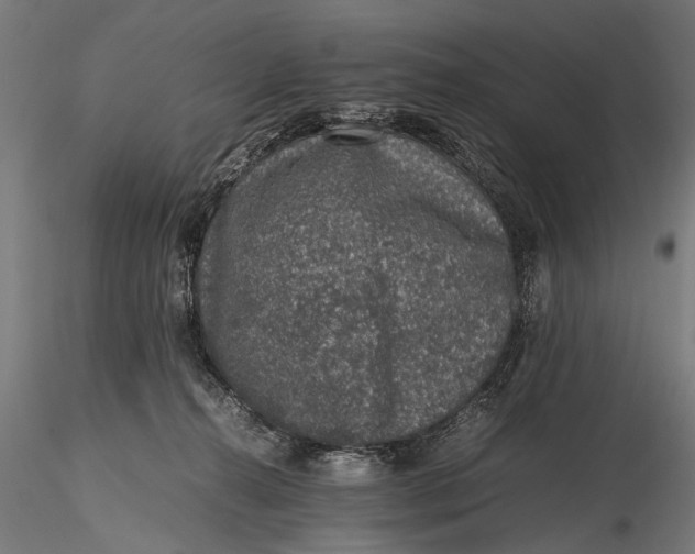 X0000116100272200912141003