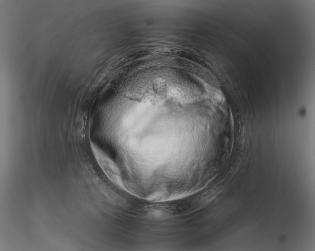 X0000116100273200912141003