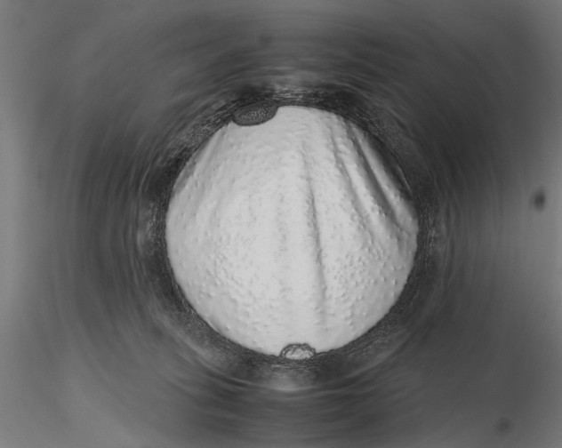 X0000116100275200912141003