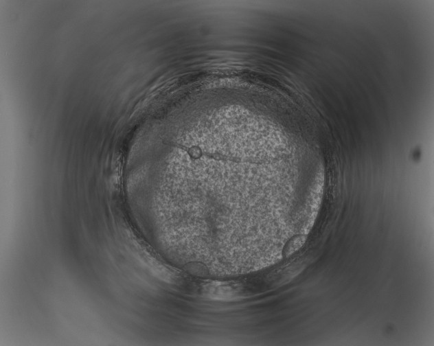 X0000116100277200912141003