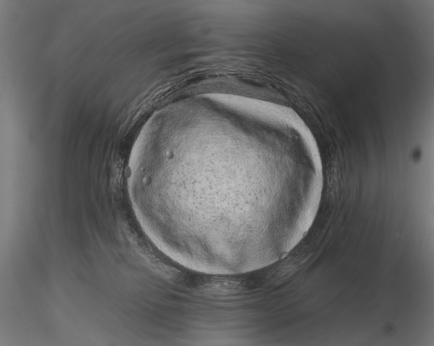 X0000116100278200912141003