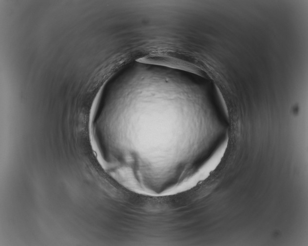 X0000116100281200912141003