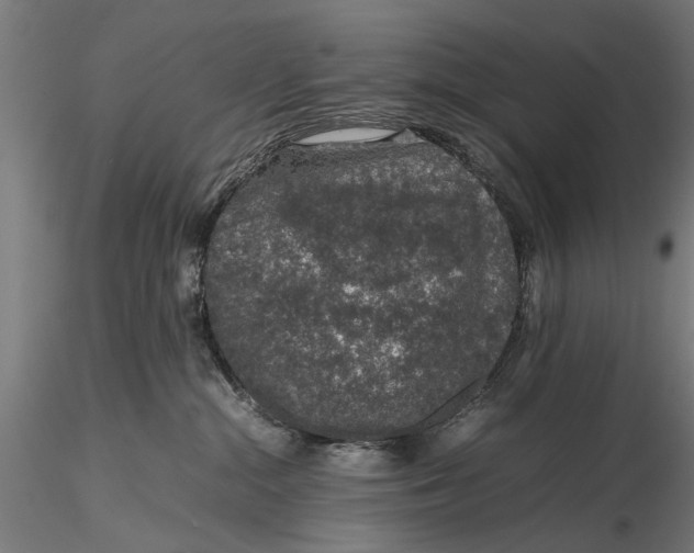 X0000116100284200912141004