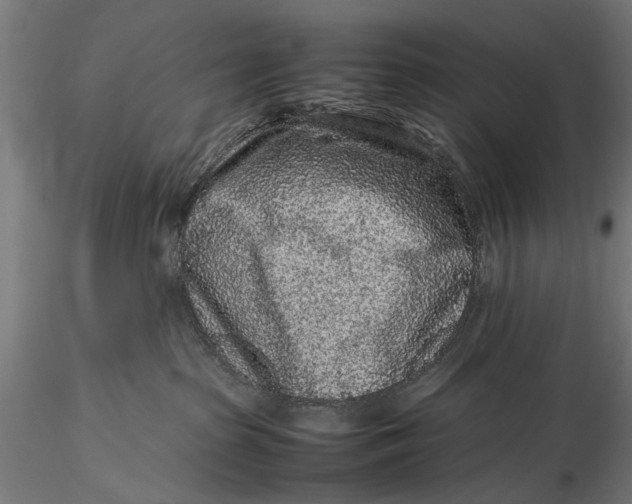 X0000116100285200912141004