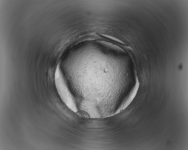 X0000116100286200912141004