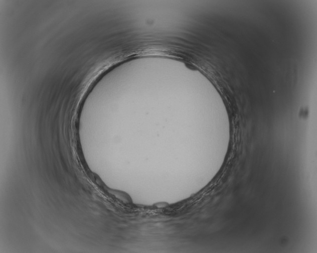 X0000116100289200912141003