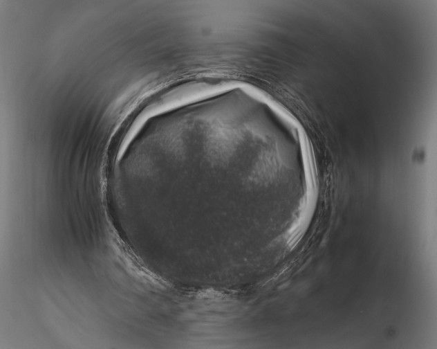 X0000116100290200912141003