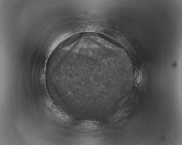 X0000116100292200912141003