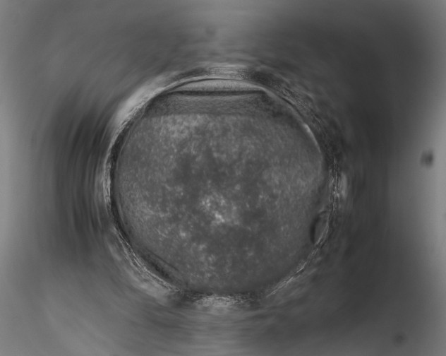 X0000116100294200912141003