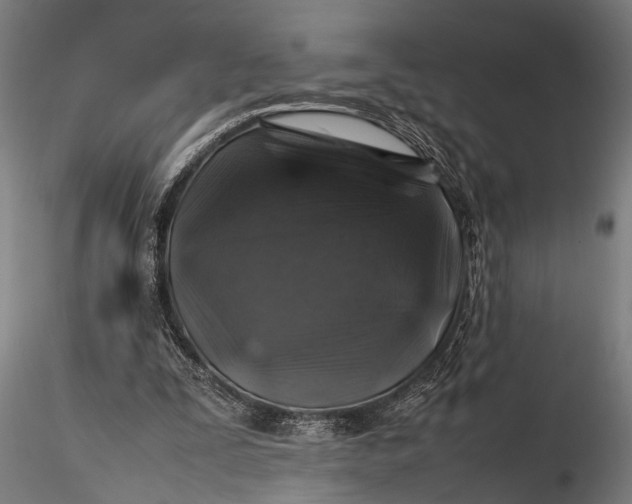 X0000116100295200912141003