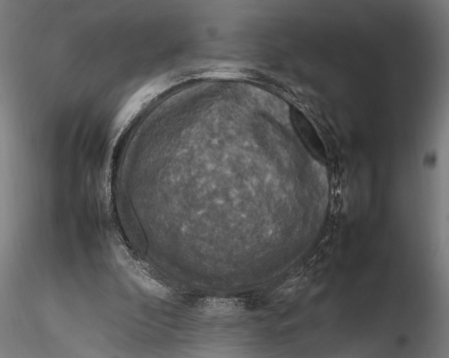 X0000116100296200912141003