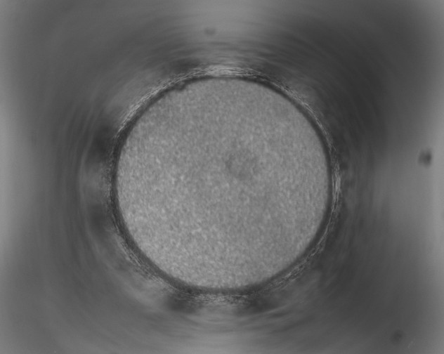 X0000116100297200912141003