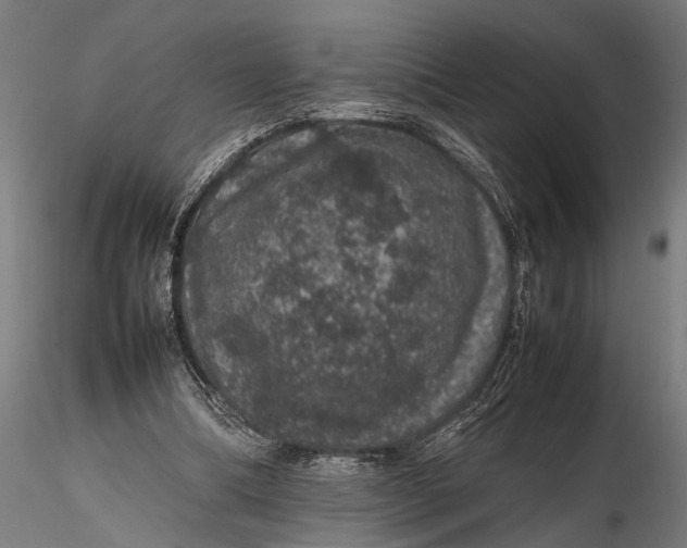 X0000116100298200912141003