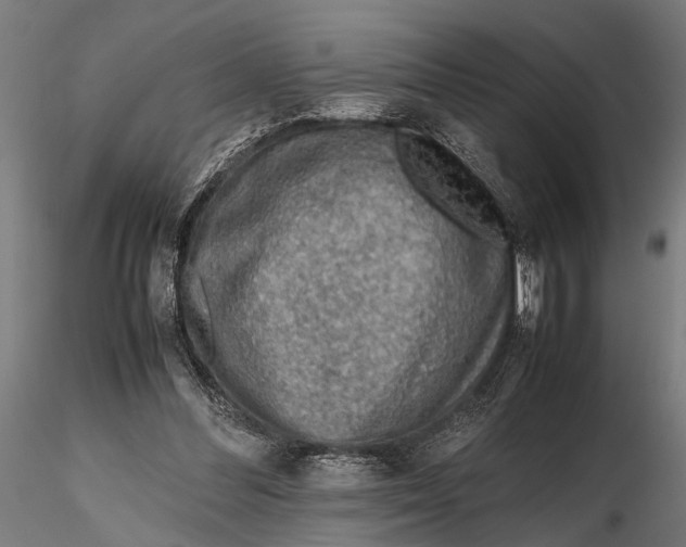 X0000116100300200912141003