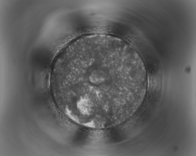 X0000116100301200912141003