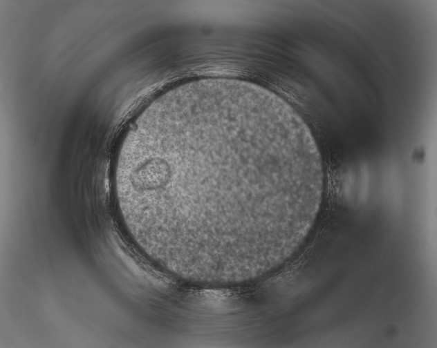 X0000116100302200912141003