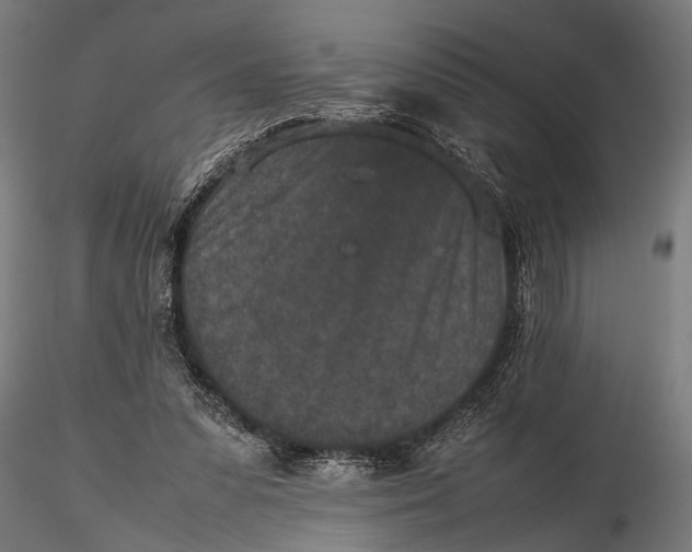 X0000116100303200912141003