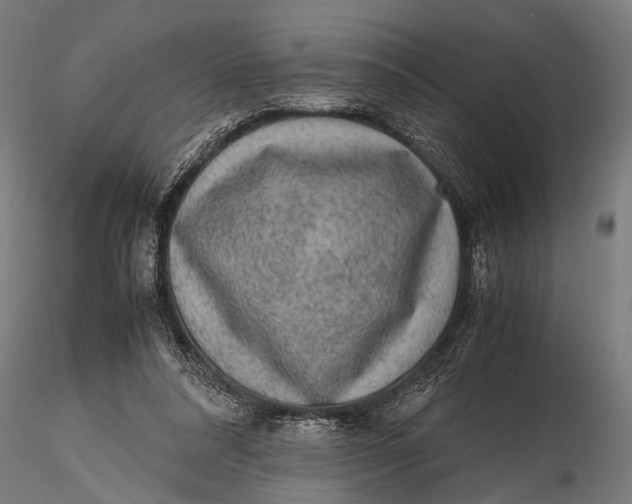 X0000116100304200912141003