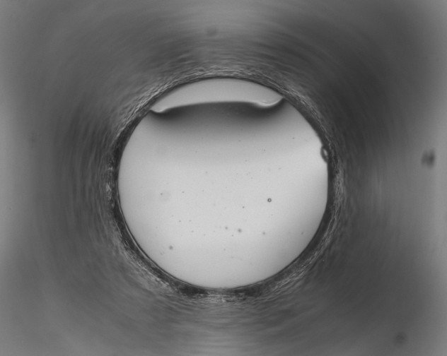 X0000116100305200912141003