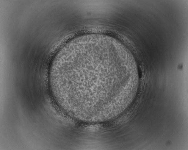 X0000116100306200912141003