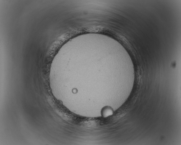 X0000116100307200912141003