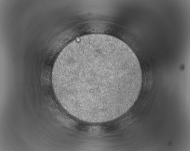 X0000116100309200912141002