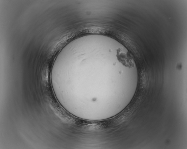 X0000116100310200912141002