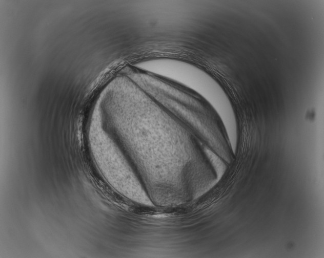 X0000116100312200912141002