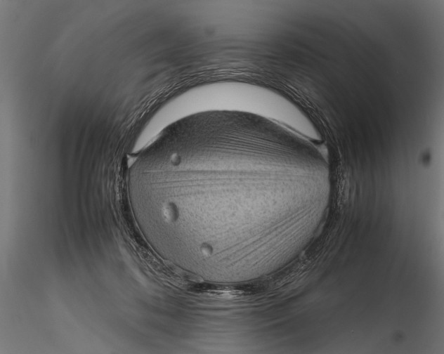 X0000116100316200912141002