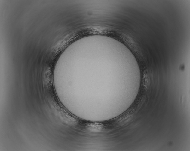 X0000116100318200912141002