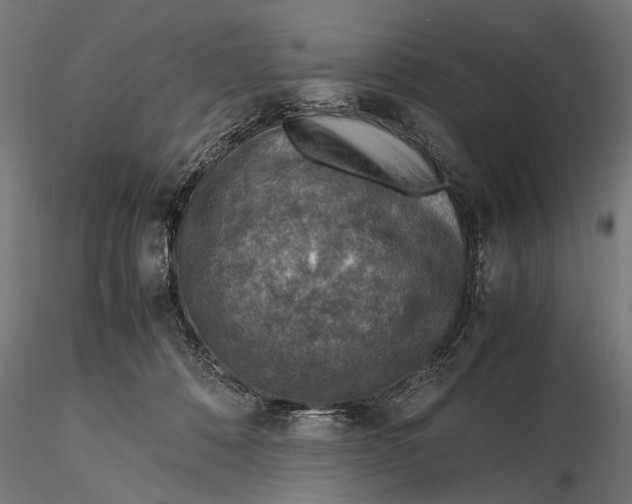 X0000116100320200912141002