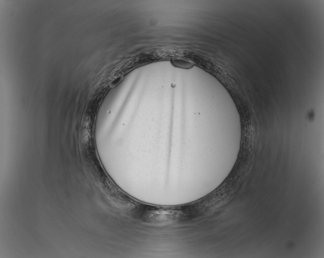 X0000116100323200912141002