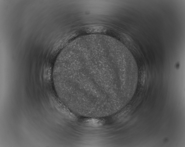 X0000116100326200912141002