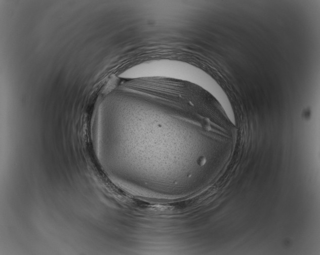 X0000116100328200912141002