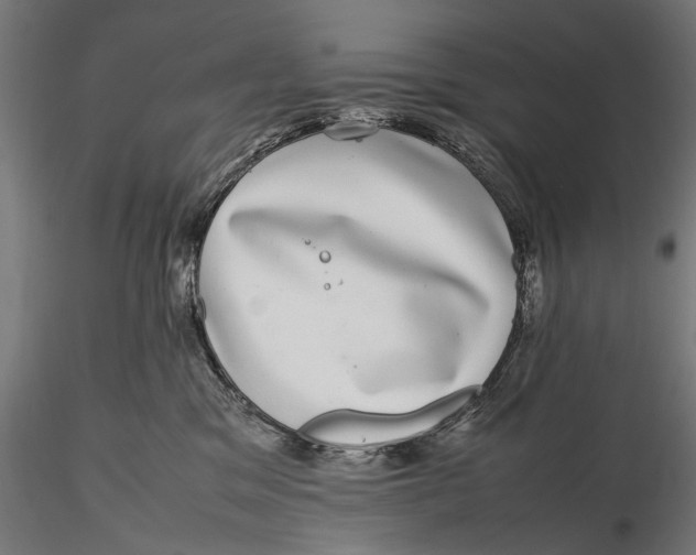 X0000116100329200912141002