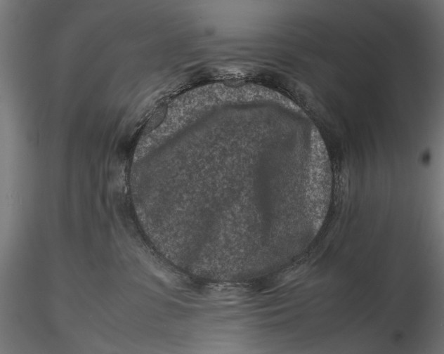 X0000116100331200912141002