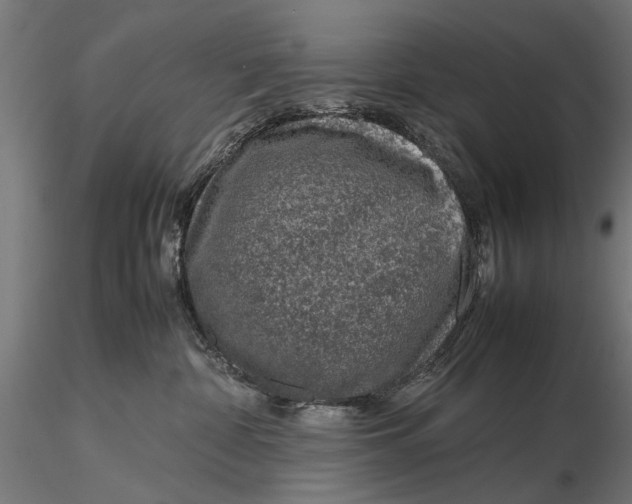 X0000116100332200912141002