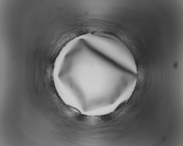 X0000116100333200912141002