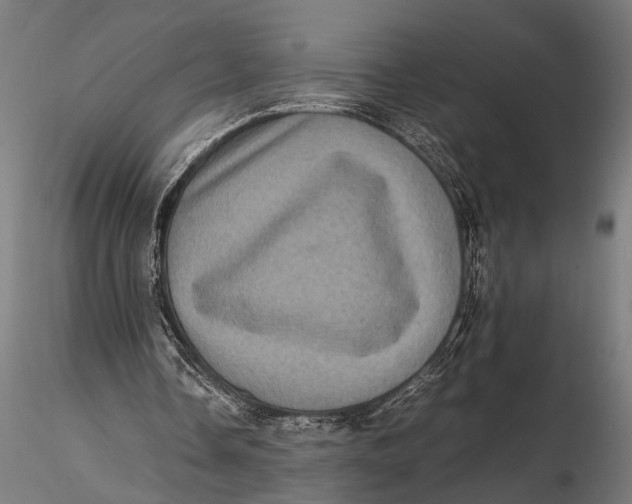 X0000116100338200912141001