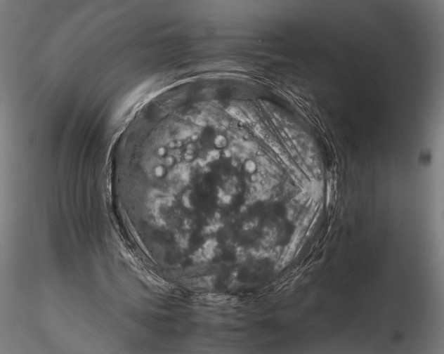 X0000116100339200912141001