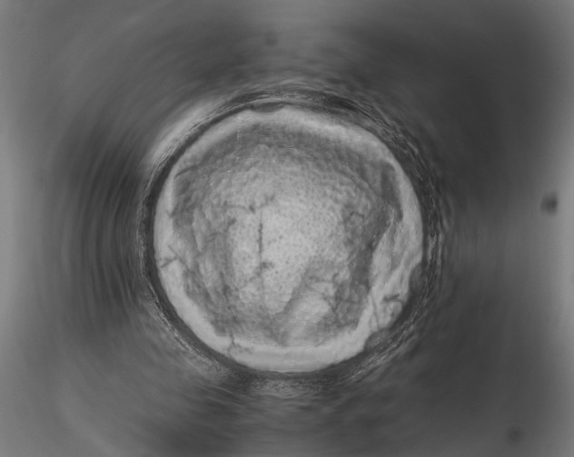 X0000116100341200912141002