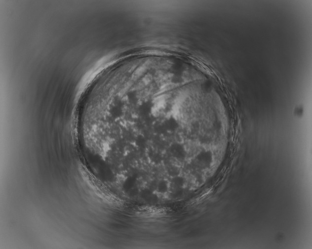 X0000116100343200912141002