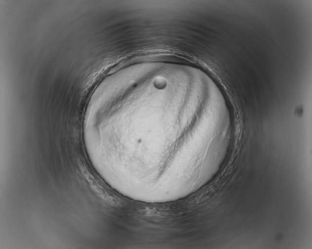 X0000116100345200912141002