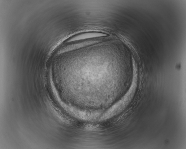 X0000116100346200912141002