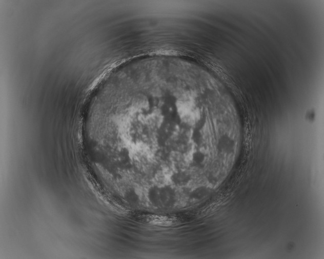 X0000116100347200912141002